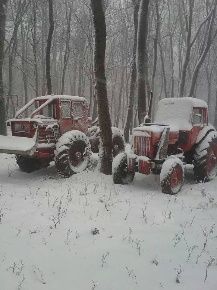 Megérkezett a hó a magyar erdőkbe - Erdészeti gépek behavazva (KÉPEK)