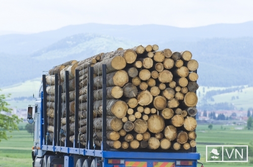Továbbra is a fa Hargita megye fő exportcikke
