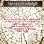 kiczko_munka