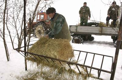 Az enyhe tél megnehezíti a társas vadászatokat, de kevesebb takarmányra lesz szükség