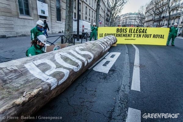 A Greenpeace egy négy tonnás fatörzzsel tiltakozott a törvénytelen fakereskedelem ellen