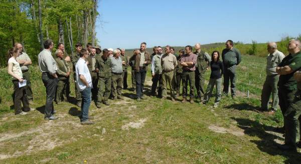 A csemetekerti műveléstől a csöves módszeres erdősítésig - A Nagykanizsai HCs szakmai napja