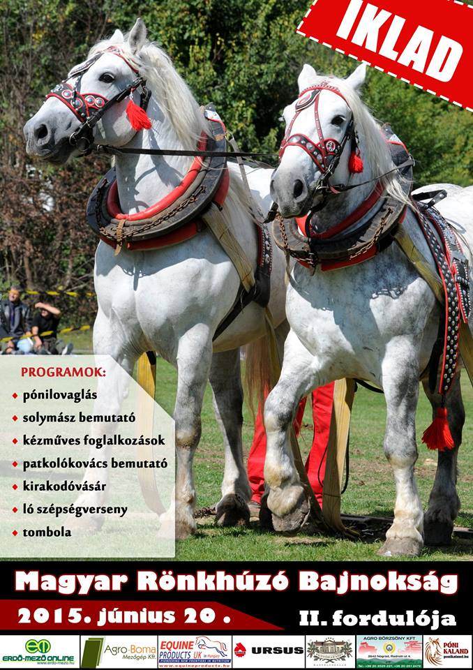 Ikladon folytatódik a lovas fakitermelők versenye - Magyar Rönkhúzó Bajnokság II. forduló