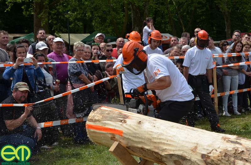 A Dalerd Zrt. fakitermelő csapata lett a STIHL Bajnokok Bajnoka 2015-ben (+KÉPEK)