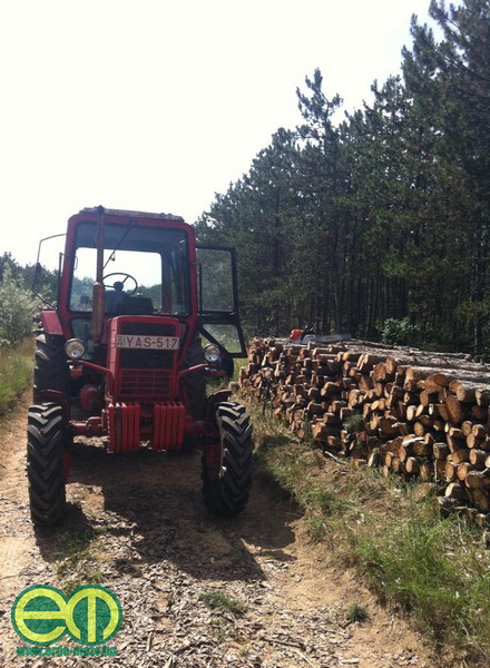 Szabácsik Ferenc MTZ erdészeti traktora