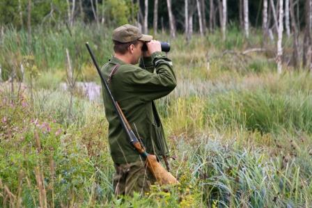 Fazekas: az új vadgazdálkodási törvényről már ősszel tárgyalhat az Országgyűlés