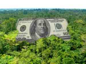 Az erdészeti beruházások kiemelkedően magas arányban részesedhetnek a Vidékfejlesztési Program forrásaiból