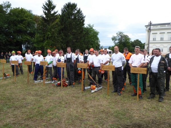 A fakitermelőket is ünnepelte augusztus 20-án a Pilisi Parkerdő Zrt.  - I. Parkerdő Kupa Fakitermelő Verseny