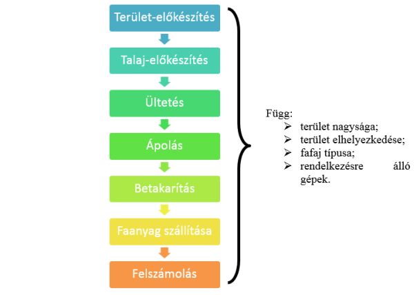 1. ábra: Az ültetvények termesztés-technológiájának műveletei