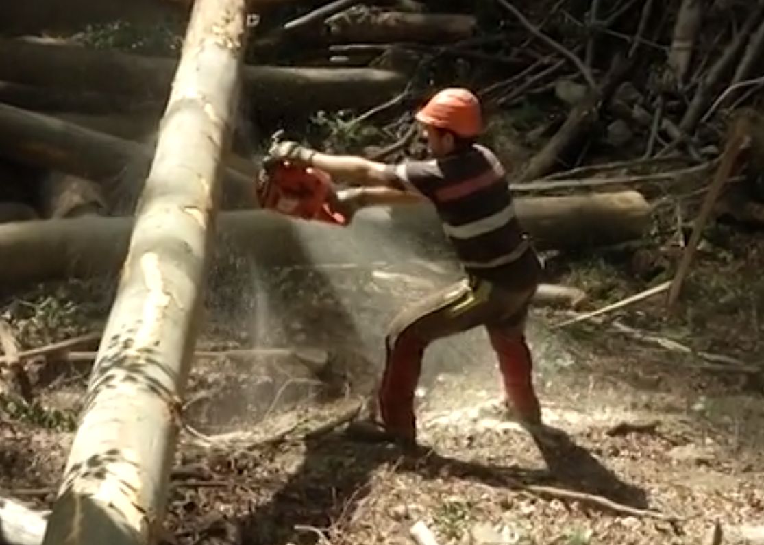 Kötélpályával is dolgoznak az Yvette ciklon által károsított területen (+Videó)