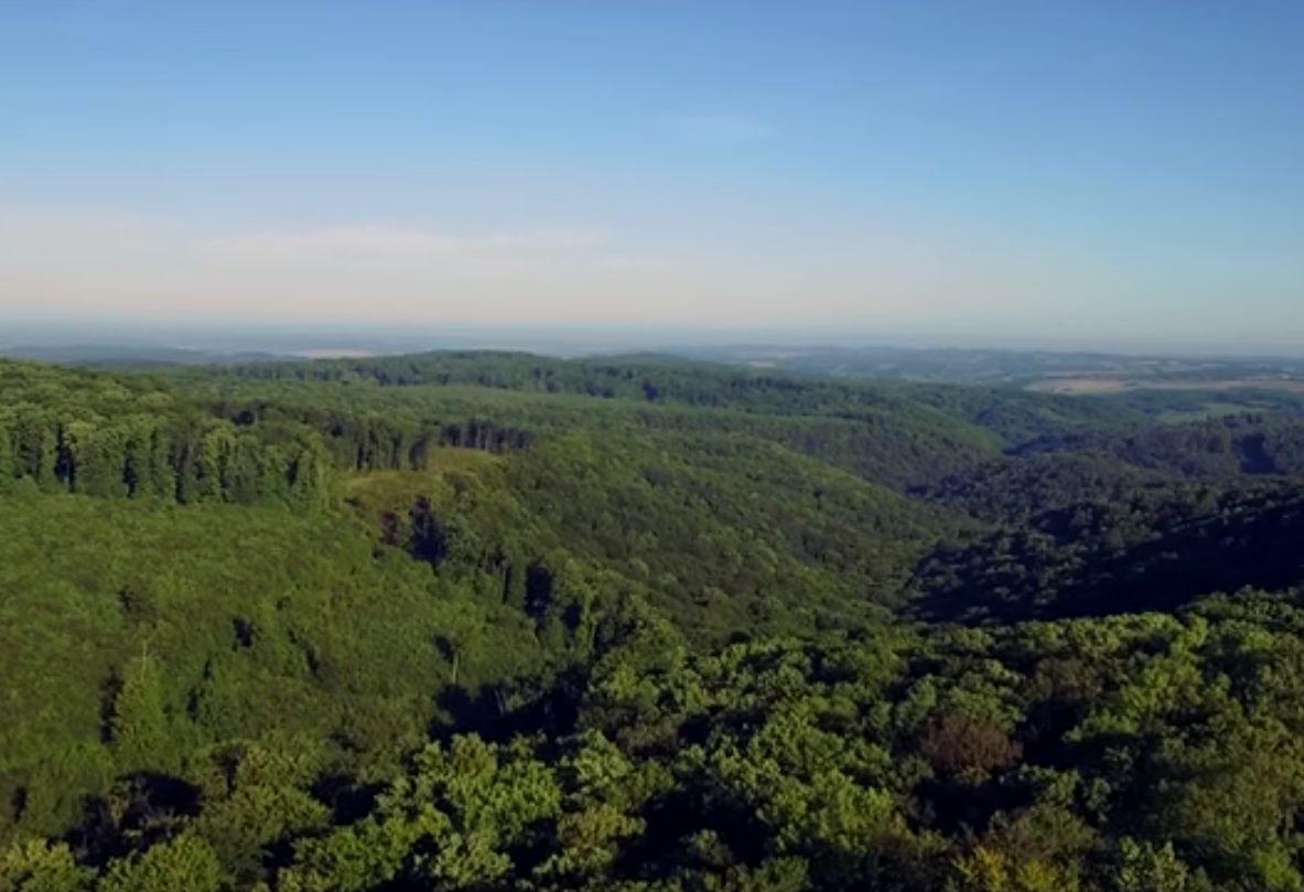 Fantasztikus drónfelvételek a Mecsekből - Erdők madártávlatból (VIDEÓ)