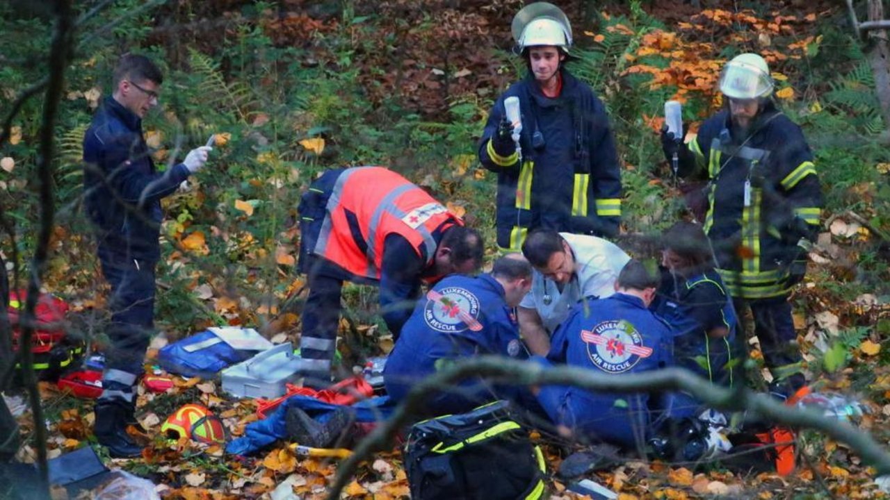 Tragédia a német erdőben - Nem tudták megmenteni a 39 éves favágó életét