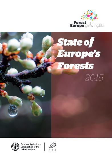 Megjelent az „Európai Erdők Helyzete 2015” jelentés