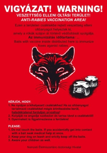 Indul a vadon élő rókák tavaszi veszettség elleni immunizálási kampánya
