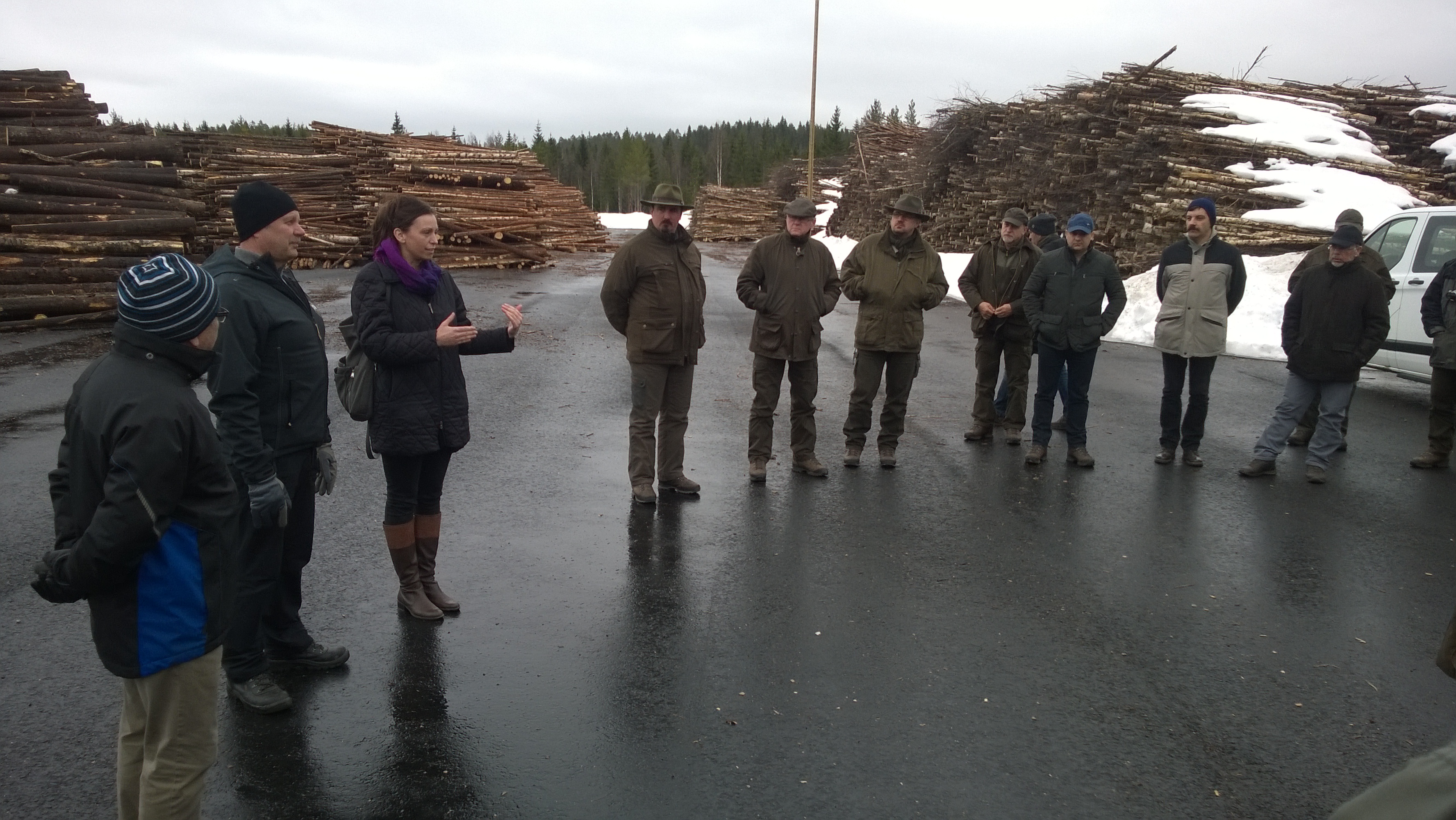 Biomassza tapasztalatok Finnországból