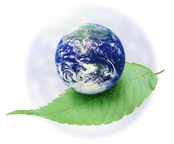 Föld Napja Alapítvány: Fákat a Földnek - 7,8 milliárdot 2020-ig!