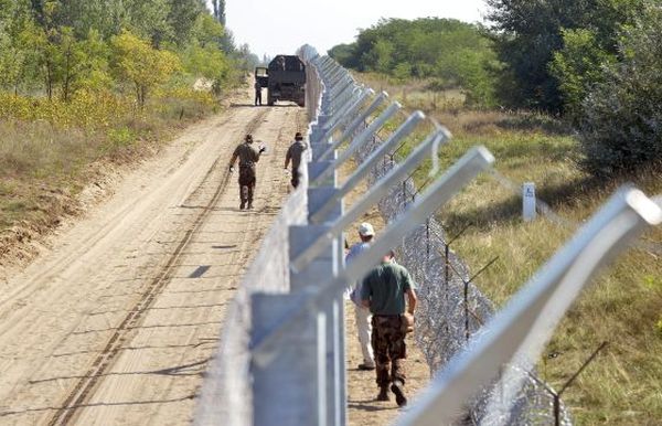 Erdészek és fakitermelők is segítik a magyar határ védelmét