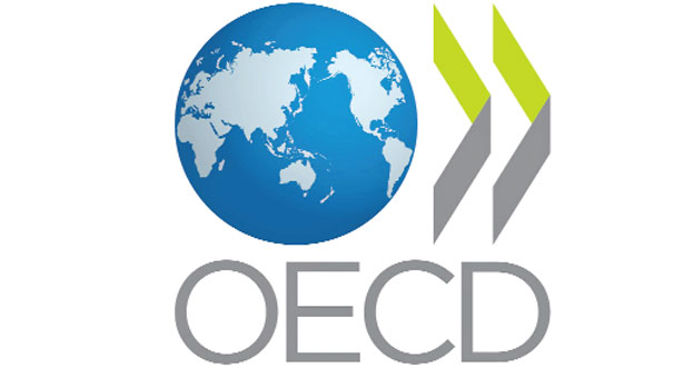 Magyarországon rendezték meg az OECD TWG Erdészeti Szaporítóanyag Munkacsoporti Ülését