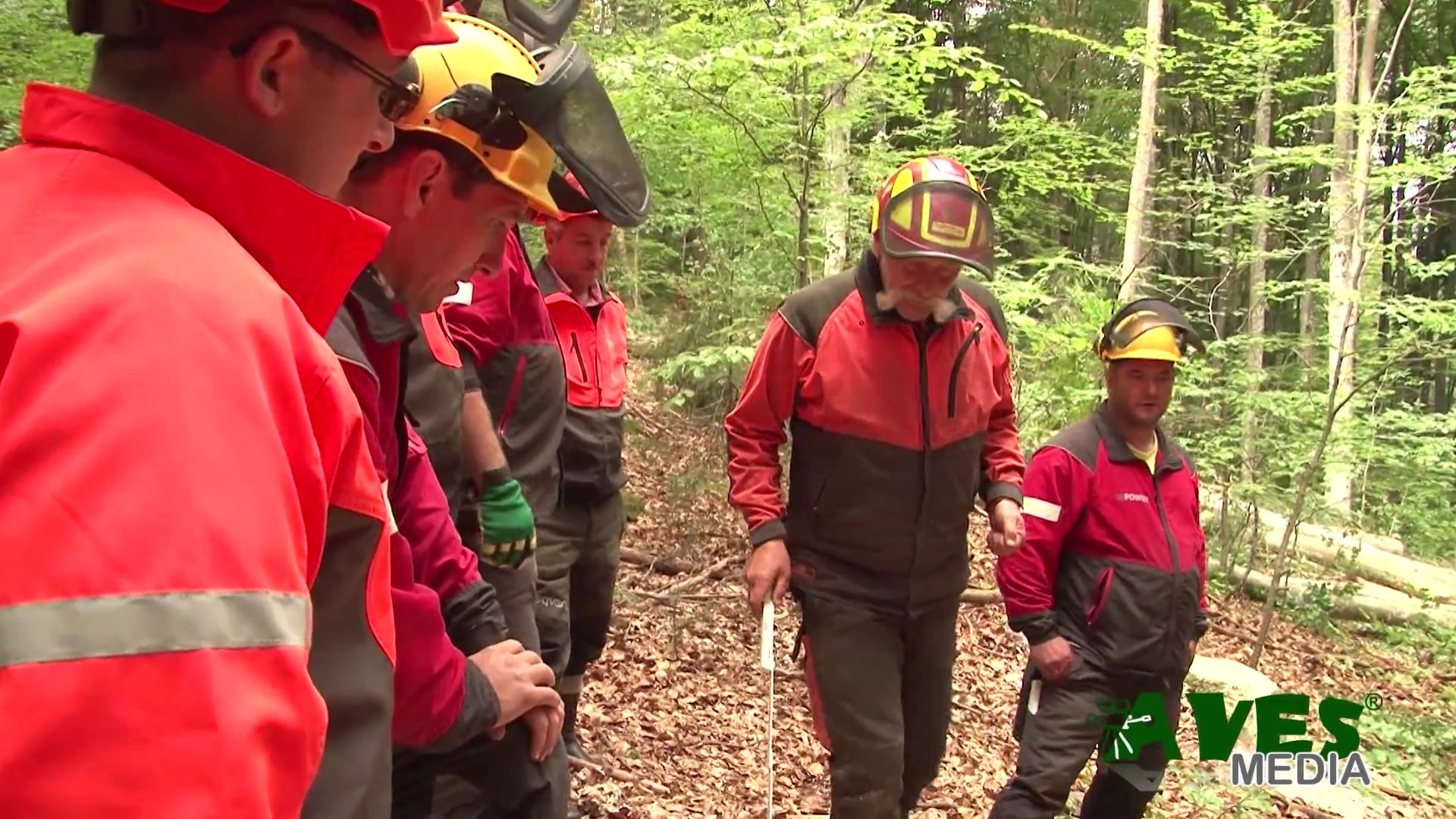 Svájci erdőmester oktatja a székelyföldi favágókat (+VIDEÓ)