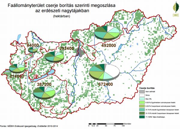 A NÉBIH honlapján elérhetőek az első magyar szisztematikus erdőleltár eredményei