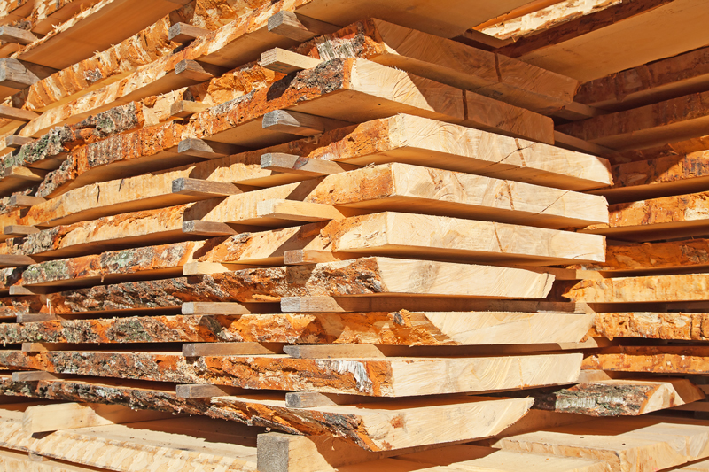 Uniós jóváhagyás a magyar faanyagterméklánc-felügyeleti, EUTR rendszer működéséhez