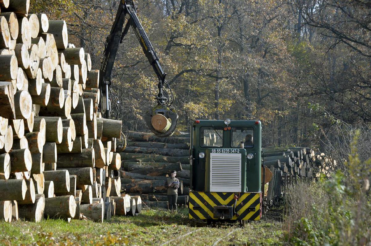 Pályázati felhívás - Bővítenék a Zalaerdő Zrt. Szilvágyi erdészeti rakodóját