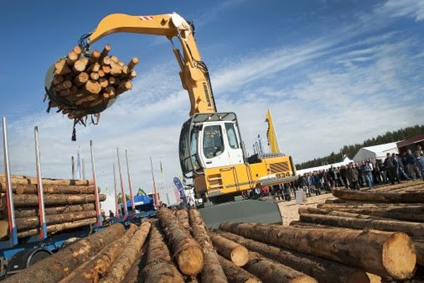 A világ legnagyobb erdészeti szakkiállítása lesz az idei Elmia Wood - három új szekcióval