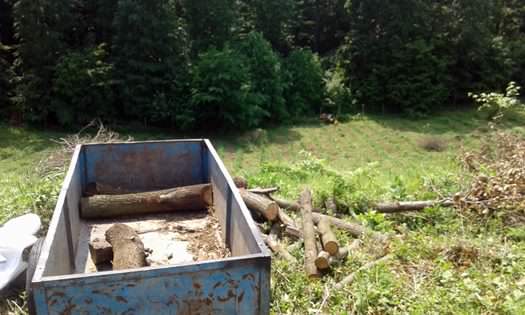 Fát szállító traktor borult a gépkezelőre Somogy megyében