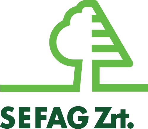 Június 1-jétől Spingár Péter a SEFAG Zrt. termelési vezérigazgató-helyettese