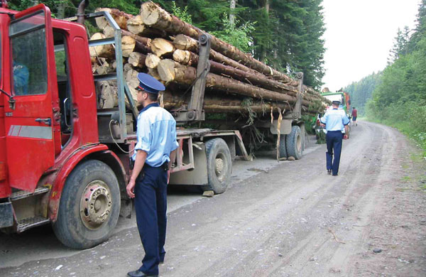 Székelyföld - Már nem lehet minden esetben elkobozni a lopott fát szállító járművet