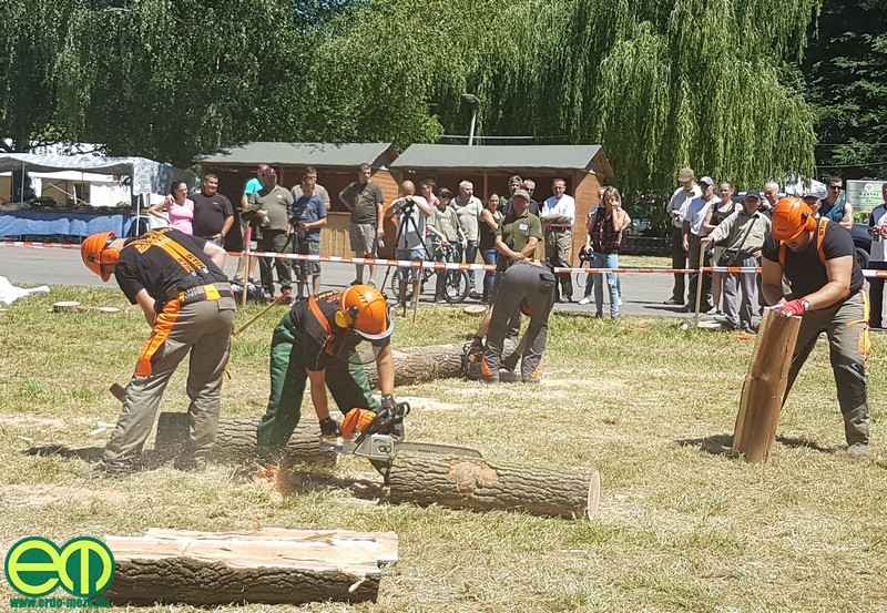 Nagy csatában dőlt el a STIHL fakitermelő verseny Tamásiban (+KÉPEK, Eredmények)