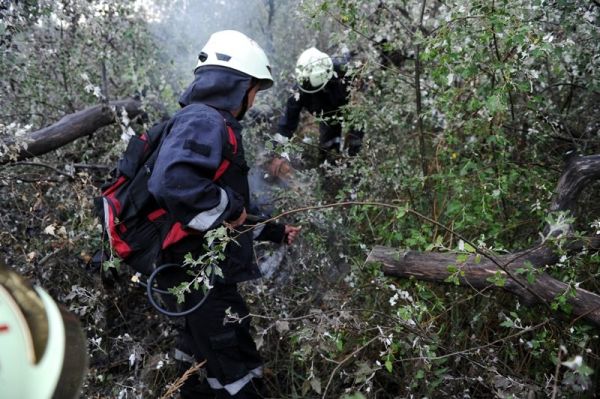 Tűz volt Bugacon, 4-5 hektáron égett az erdő a fokozottan védett területen (+KÉPEK)