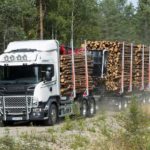 scania_forest_2