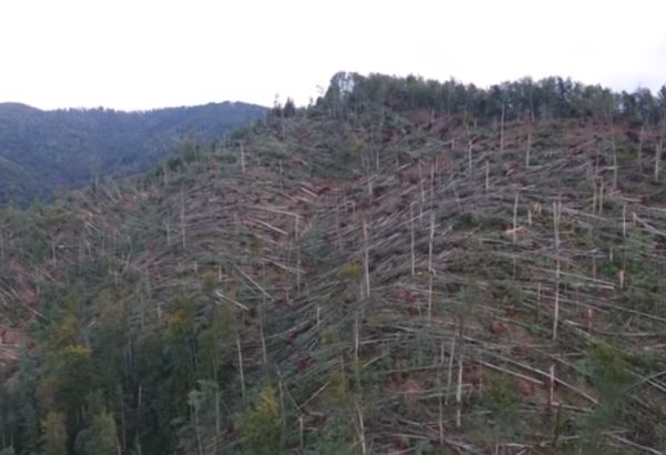 Drónfelvétel a hatalmas bihari pusztításról - 460 ezer köbméter fát döntött ki a vihar Erdélyben