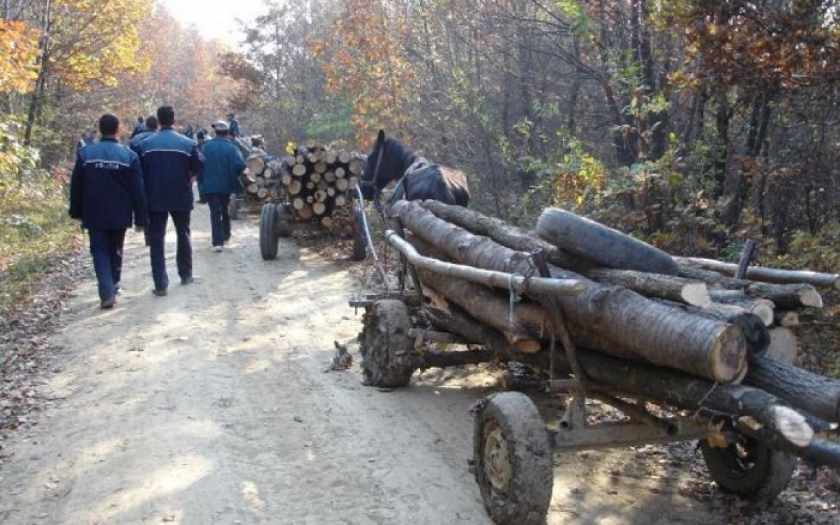 Fatolvajok verték meg az erdészt, súlyos sérülésekkel szállították a kórházba