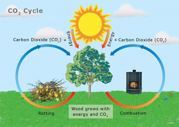 A rothadás egy lassú égés, így a faanyag elégetésével nem károsítjuk a környezetet, hiszen egyébként is lebomlana és visszakerülne a természetes körforgásba. www.ctsweep.com
