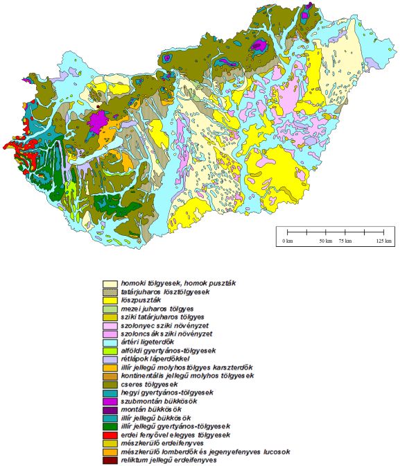 Zólyomi Bálint potenciális vegetáció térképe Magyarország természetes növénytakaróját szemlélteti Forrás: novenyzetiterkep.hu