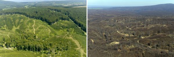 Példák bakonyi erdőterületekre. Az „erdőterület” meghatározás a letermelt, éppen csak telepített és ültetvényi területeket is magában foglalja, még akkor is, ha ezek nem látják el azt az ökológiai funkciót, amit erdő alatt értünk. A felvételeken látható gazdálkodási módok az előző évszázadokban működőképesek voltak, de a megváltozó klímaviszonyok mellett a kedvező fajösszetételű erdő nehezen vagy egyáltalán nem képes megújulni.Súlyosbítja a helyzetet, hogy az emberiség nyersanyag igénye is kielégíthetetlen mértéket ölt. Felvételek: Civertan Stúdió / Jászai Balázs