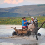 A couple and their child ride a horse-drawn cart on a flooded street in the village of Siret threatened by the rising waters of the Siret river in Bacau county (350km northeast from Bucharest) on July 28, 2008.  Due to the heavy rainfall on the past days over 70 villages were flooded, 200 kilometers of roads and more than 600 hectares of farmland mainly in Suceava county.The death toll following five days of flooding in northern Romania rose to four on Monday after authorities said they found the body of a teenager carried away by the floodwaters.         AFP PHOTO / DANIEL MIHAILESCU