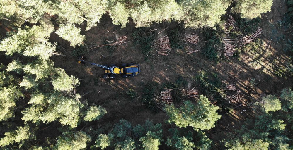 A kilencedik Ponsse a Kozák-Trans Kft.-nél - ScorpionKing harvester a magyar erdőkben (VIDEÓ)