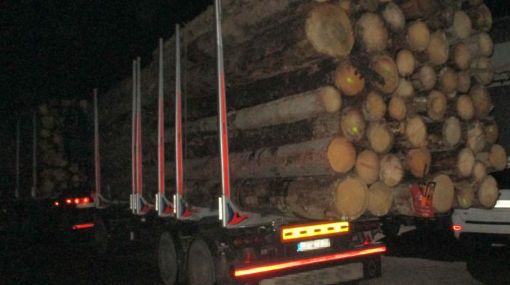 66 tonnás túlsúlyos rönkszállító kamiont fogott a német rendőrség