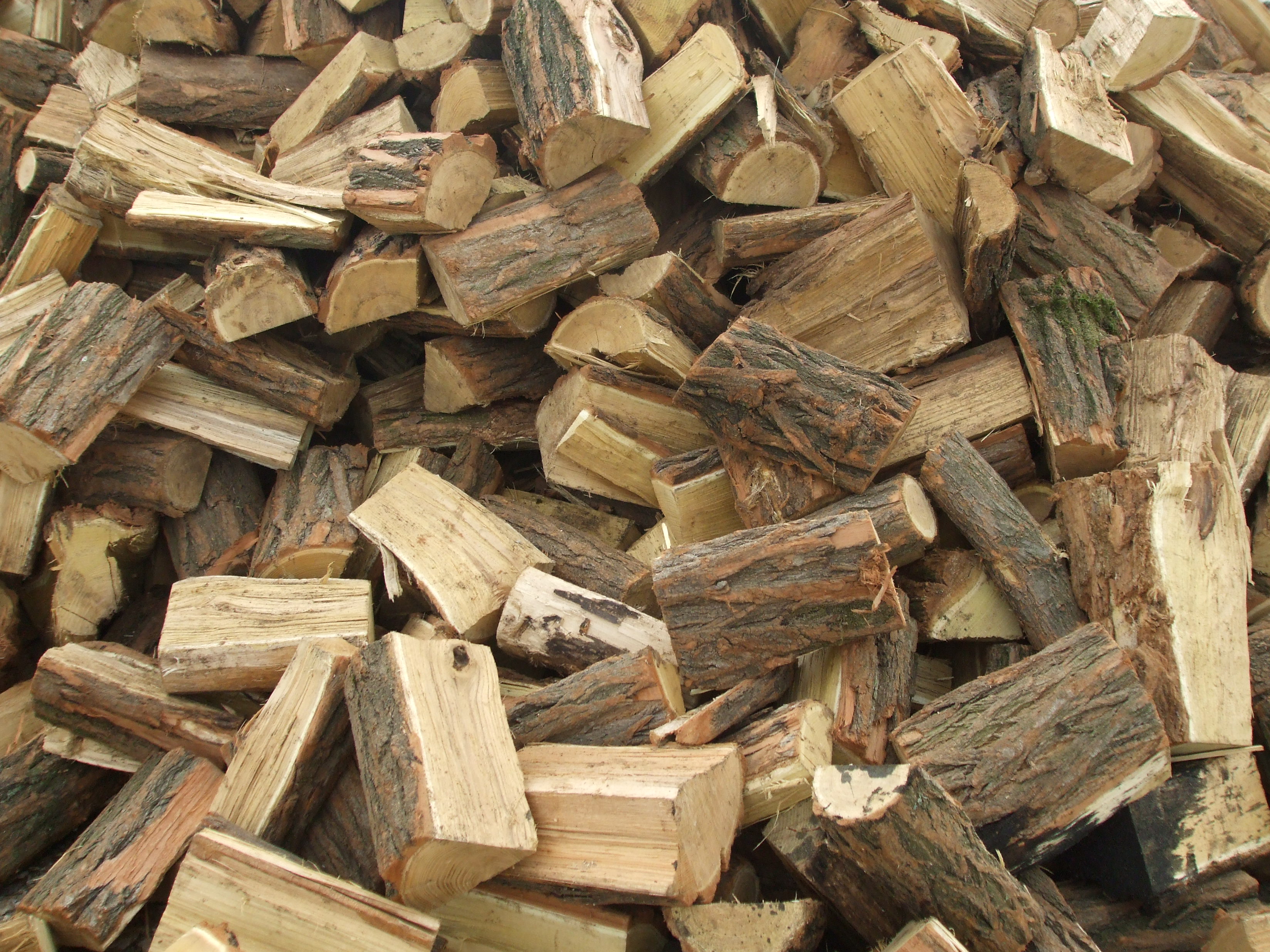 Újabb tűzifa- és fűrészáru-kereskedés működését függesztette fel a NÉBIH
