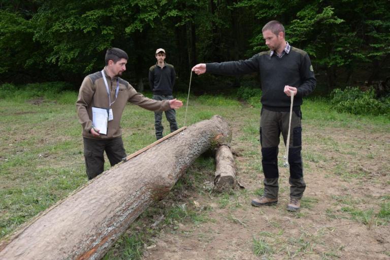 Letenyei erdész nyerte meg az Év Erdésze verseny Zala megyei fordulóját