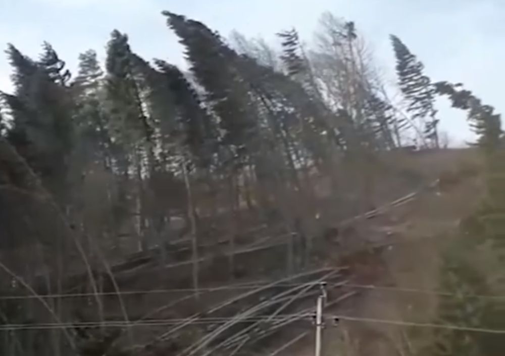 Videón, ahogy megdöbbentő erővel törte ketté és fordította ki a fenyőket a Ciara viharciklon