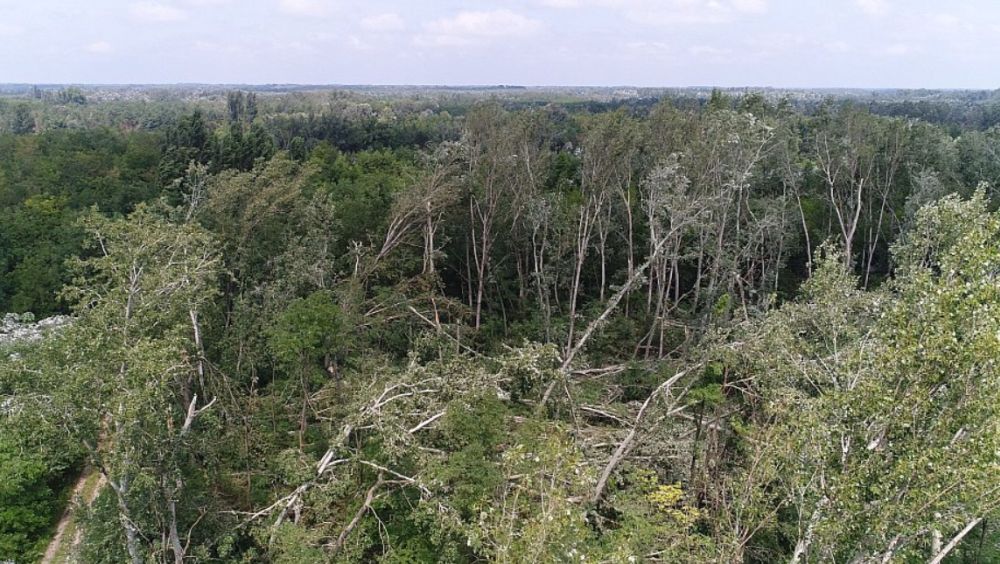 Az alföldi erdőkben is komoly károkat okoztak a nyári viharok