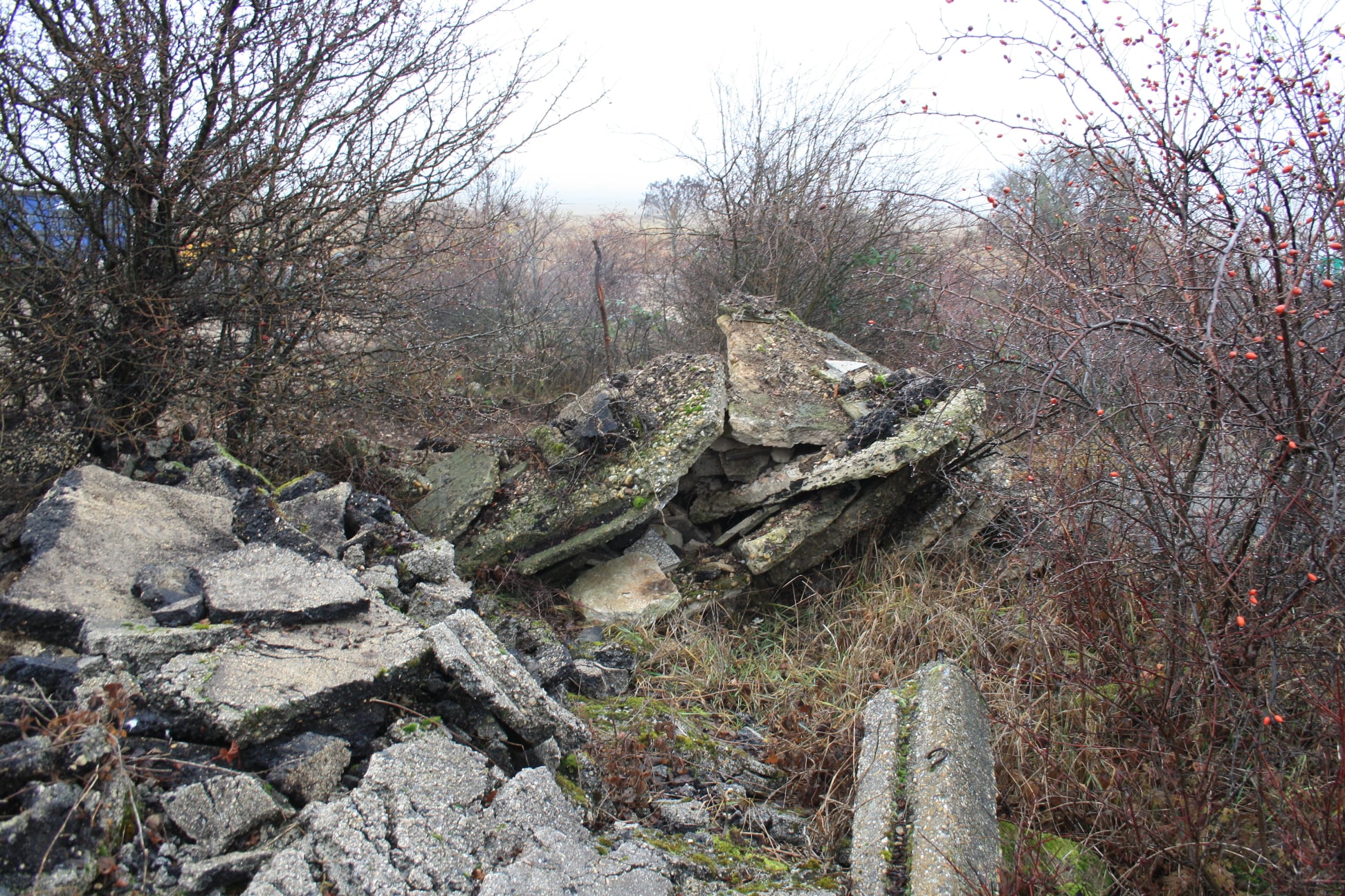 Illegálisan lerakott hulladéktól tisztították meg az erdészek Veszprém határát