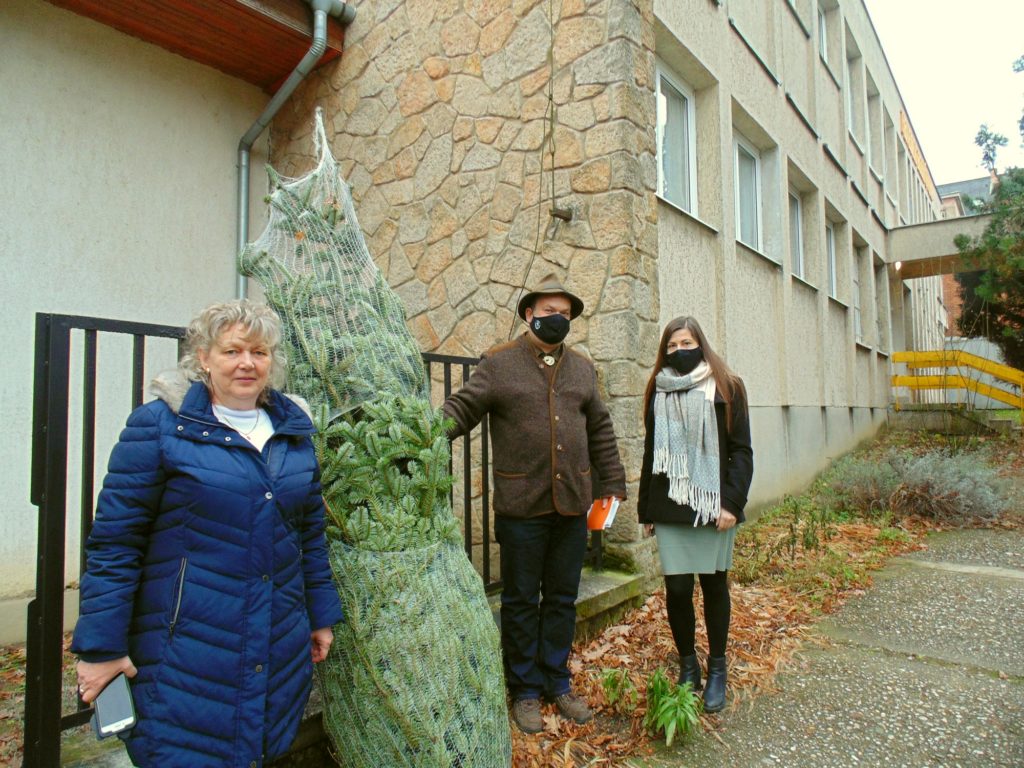 Idősotthon és hajléktalanszálló lakóinak is karácsonyfát adományoztak az erdészek