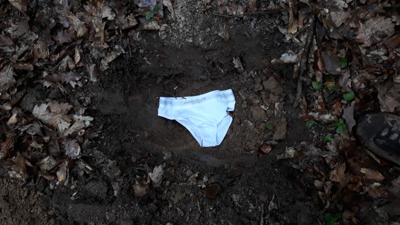 Alsógatyákat ástak el a Baranya megyei erdőkben - de miért?