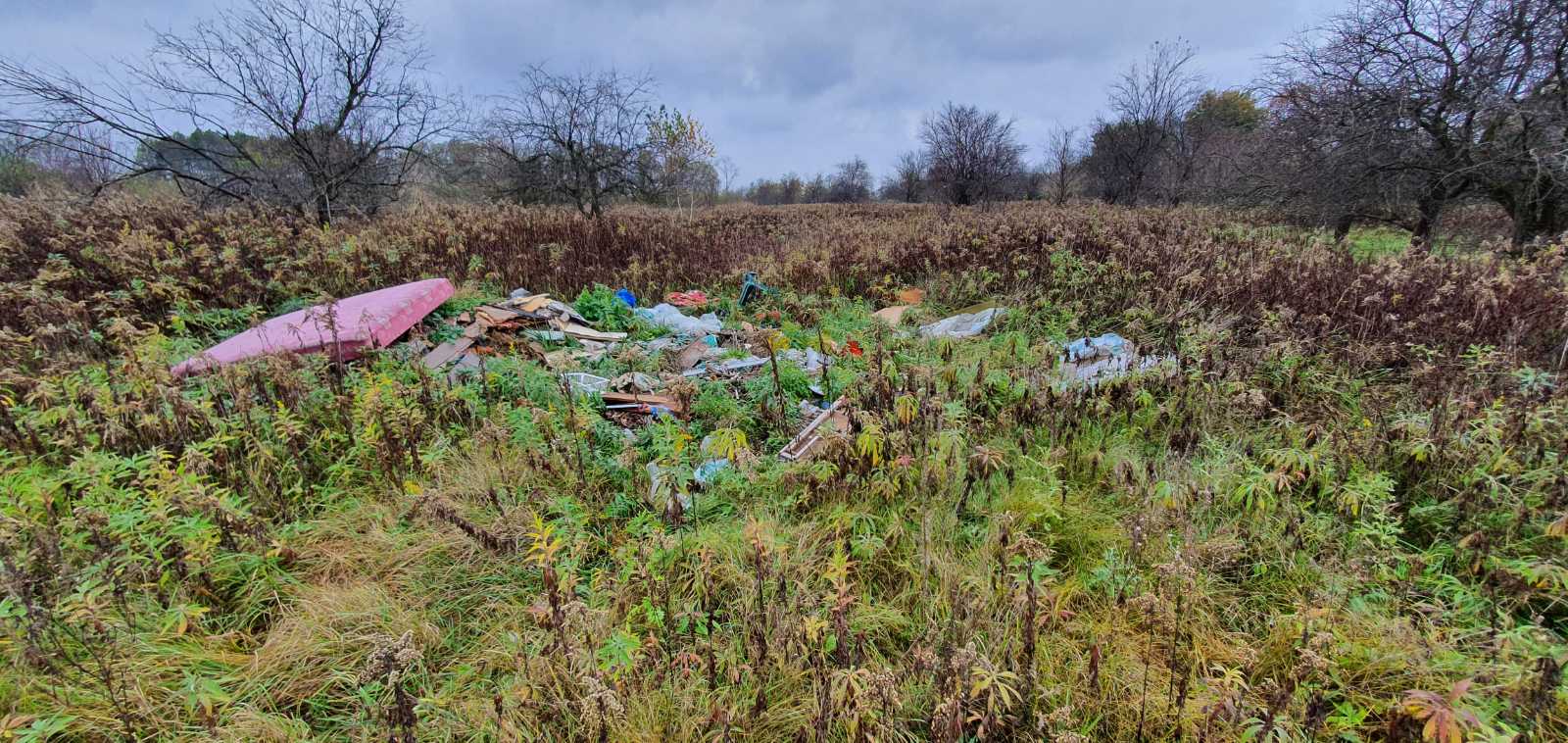 Közel 150 köbméter illegális hulladéktól szabadult fel a somogyi erdő