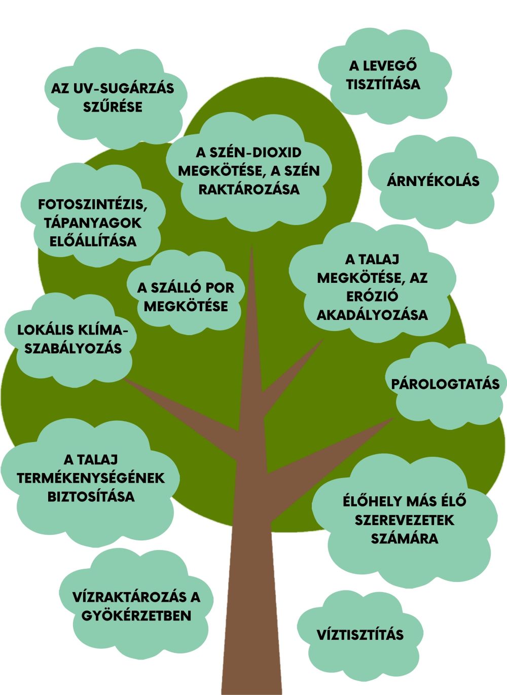 Egyetlen fa ökoszisztéma-szolgáltatásai, amelyek nem nagy részét észre sem vesszük